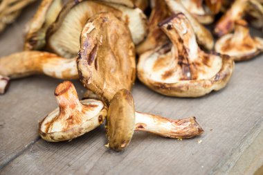 ahşap bir masaya mercan sütlü kap mantar kapat