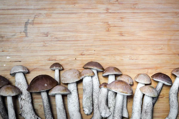 Boletus edulis, cogumelos na mesa de madeira em bruto. espaço para o seu texto acima . — Fotografia de Stock