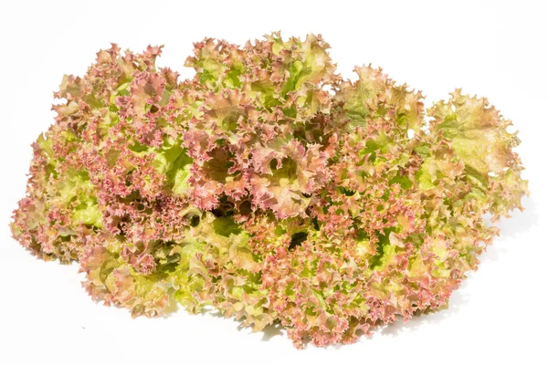 Свежий красный и зеленый салат изолирован на белом фоне — стоковое фото