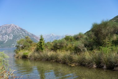 Güzel dağ ve nehir ve deniz manzaralı. Kotor. Karadağ