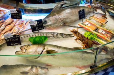 KOTOR, MONTENEGRO - SEPTEMBER 02, 2015: COGImar fish shop. Fresh Fish on ice for sale at market close up.