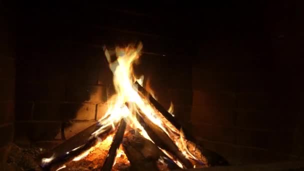 Imagen frontal de la chimenea y la quema de madera — Vídeo de stock