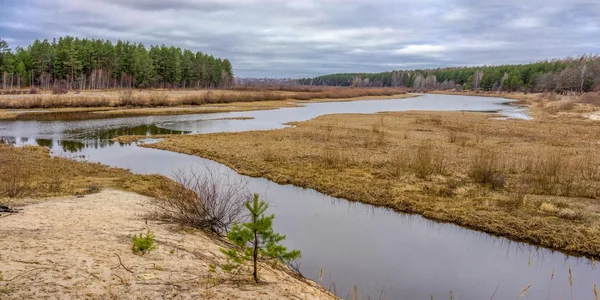 Paisaje fluvial en la taiga siberiana —  Fotos de Stock