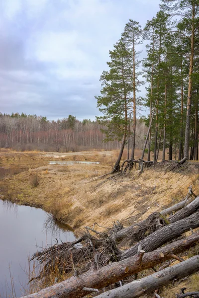 Paisaje fluvial en otoño. Siberia, Rusia —  Fotos de Stock