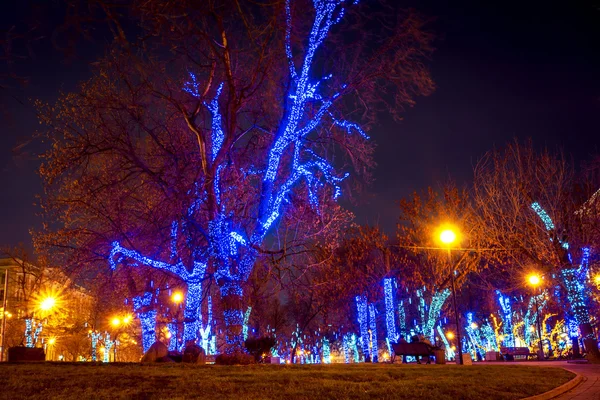 Decoración iluminada de árboles por la noche en Moscú —  Fotos de Stock