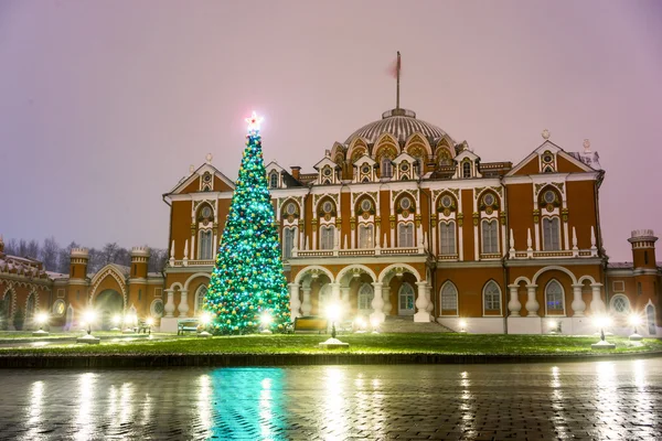 晚上，彼得罗夫斯基旅行宫，neoghotic 红砖砌建筑。彼得罗夫斯基宫始建为凯瑟琳大由建筑师卡扎科夫在 1782 年。由新的一年树装饰. — 图库照片