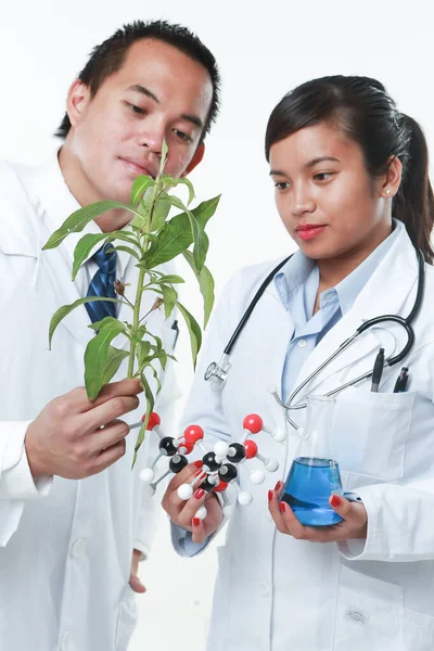 Врачи Держат Травяные Растения Химикаты — стоковое фото
