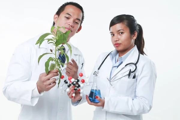 Médecins Tenant Une Plante Base Plantes Des Produits Chimiques — Photo