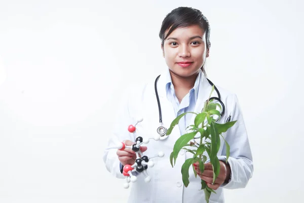 Una Doctora Sosteniendo Una Planta Herbal Una Matriz Química —  Fotos de Stock