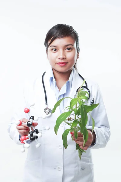 Una Doctora Sosteniendo Una Planta Herbal Una Matriz Química —  Fotos de Stock