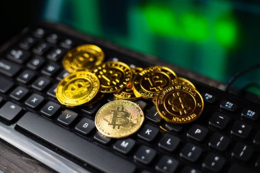 Bitcoin dijital şifreleme para birimi