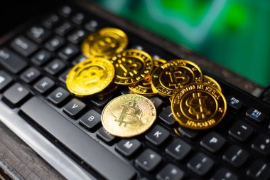 Bitcoin dijital şifreleme para birimi