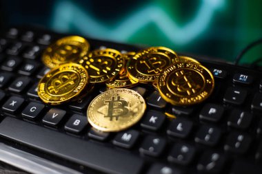 Bitcoin dijital şifreleme para birimi