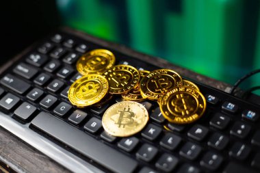 Bitcoin dijital şifreleme para birimi