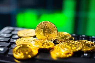 Bitcoin dijital şifreleme para birimi