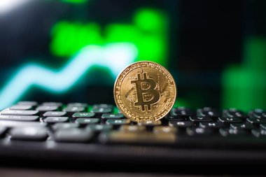 Bitcoin dijital şifreleme para birimi