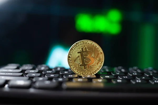 Bitcoin Moneda Criptomoneda Digital — Foto de Stock