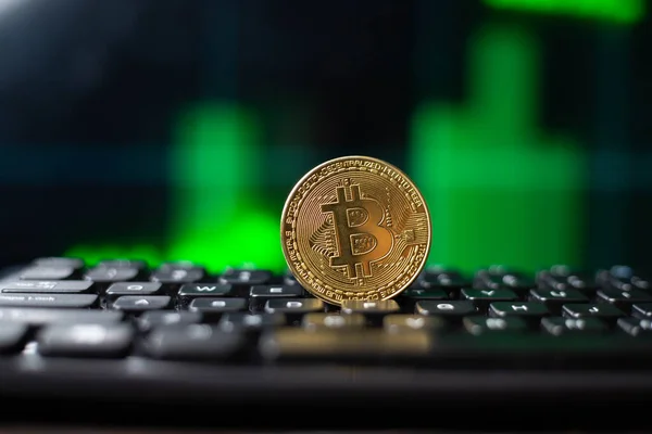 Bitcoin Moneda Criptomoneda Digital — Foto de Stock