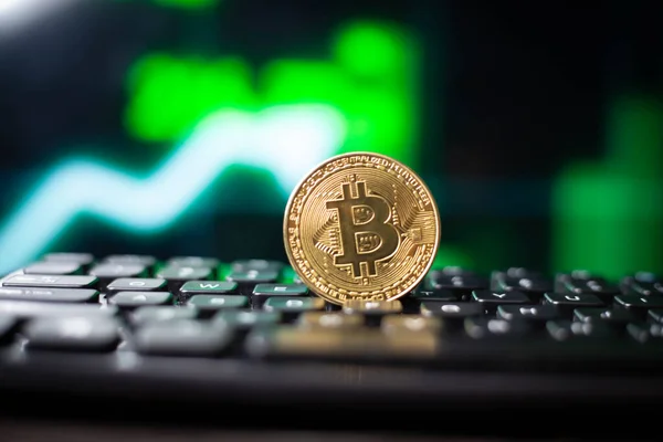 Bitcoin Criptomoneda Dinero Moneda Digital — Foto de Stock