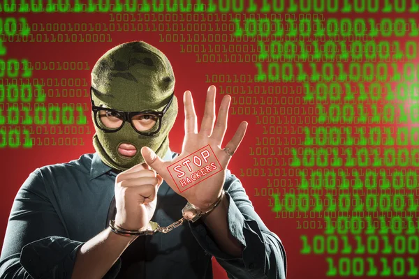 Bilgisayar korsanları