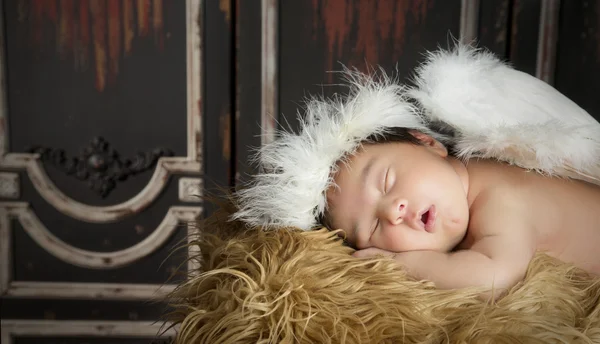 Спящий ангел — стоковое фото