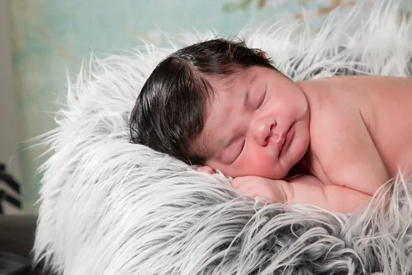 Baby Flower — Stock Photo, Image