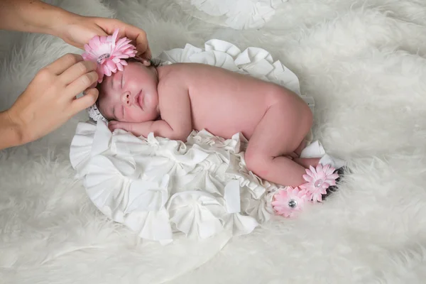 Baby bloem — Stockfoto