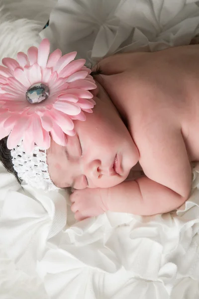 Flor bebé — Foto de Stock