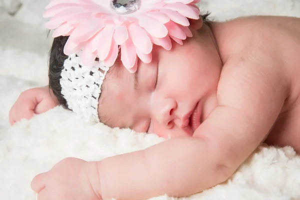 Baby Flower — Stock Photo, Image