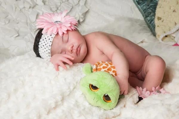 El bebé y la tortuga — Foto de Stock