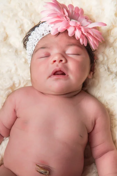 Flor bebé —  Fotos de Stock