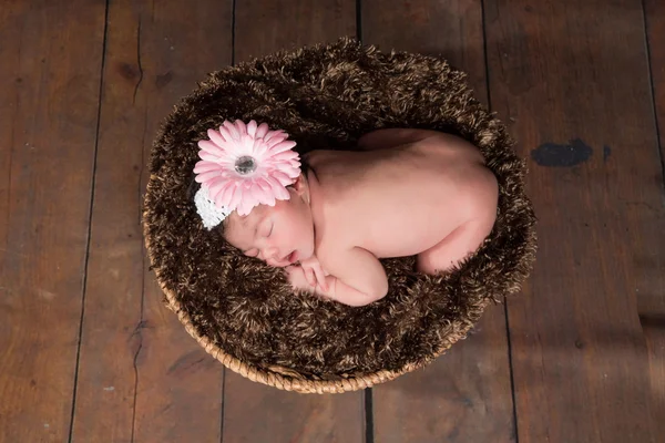 Sleeping Baby — Stock Photo, Image