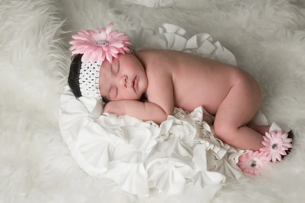 Baby bloem — Stockfoto