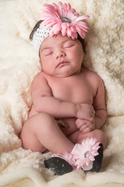 Baby blomma — Stockfoto