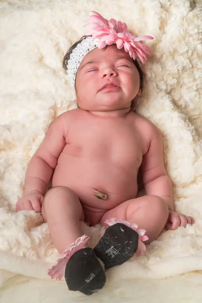 Baby blomma — Stockfoto