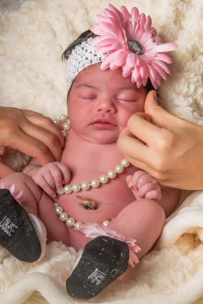 Baby Flower — Stock Photo, Image