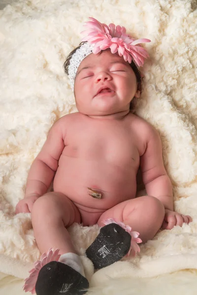 Baby blomma — Stockfoto