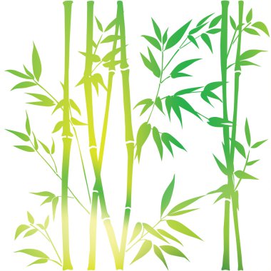 Dekoratif bambu dalları. Bambu orman arka plan. Vektör Dikişsiz desen.