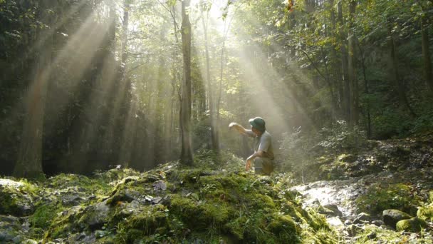 Maceraperest ortasında orman Temizleme — Stok video