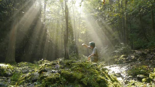 Avventuriero nel mezzo di una radura forestale — Video Stock