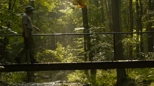 Äventyrare går över bron i skogen — Stockvideo