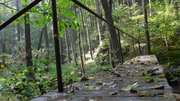 Ranger auf einer Brücke im Wald — Stockvideo