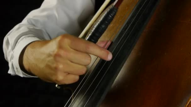 Cellist playing on cello. Detail shot on musical instrument. — Stock Video