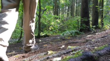 Ormanda bir yürüyüşe Ranger gider