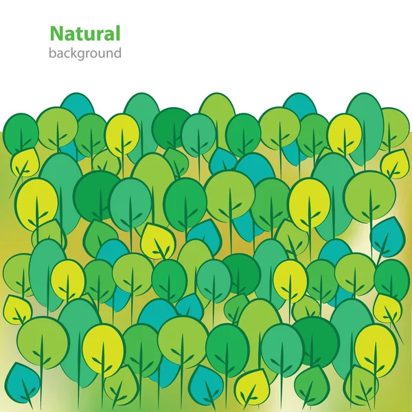 신선한 녹색 나무-비즈니스 카드-빈 배경 — 스톡 벡터