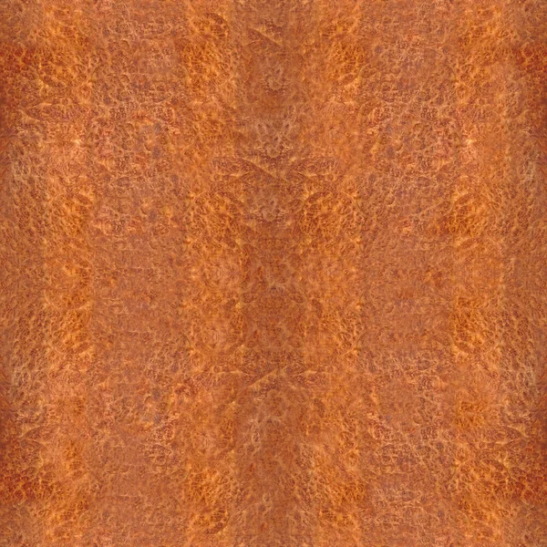Placa de madeira para fundo sem costura - Carpathian Elm madeira textu — Fotografia de Stock