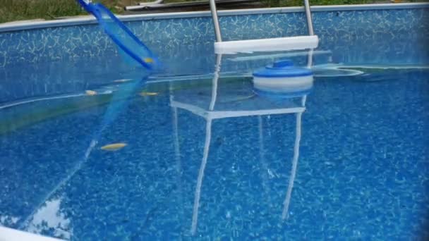 Wartung des Pools - Laub vom Pool reinigen — Stockvideo