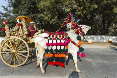 Festival alayı Bagan kasaba Mandalay ili