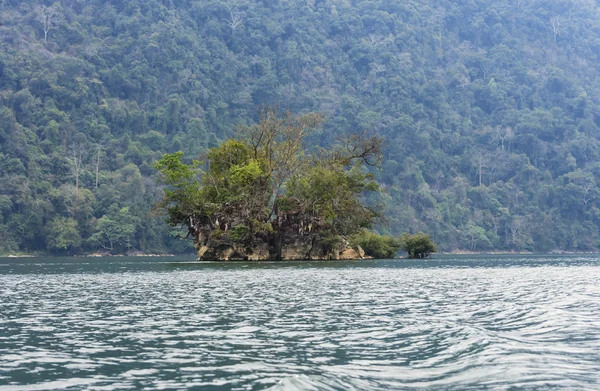 Pequena ilha no lago — Fotografia de Stock