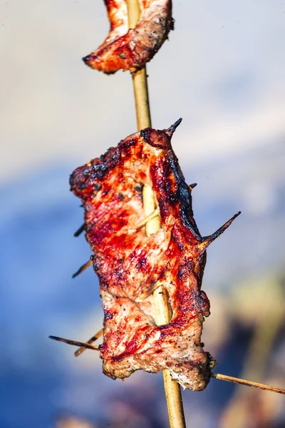 Grillat kött med grill grejer — Stockfoto